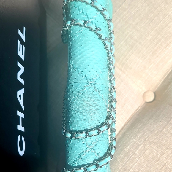 Chanel Python Classic Flap Bag - Picture 4 of 12